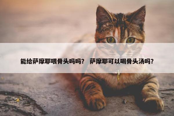 能给萨摩耶喂骨头吗吗？ 萨摩耶可以喝骨头汤吗？