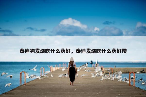 泰迪狗发烧吃什么药好，泰迪发烧吃什么药好使