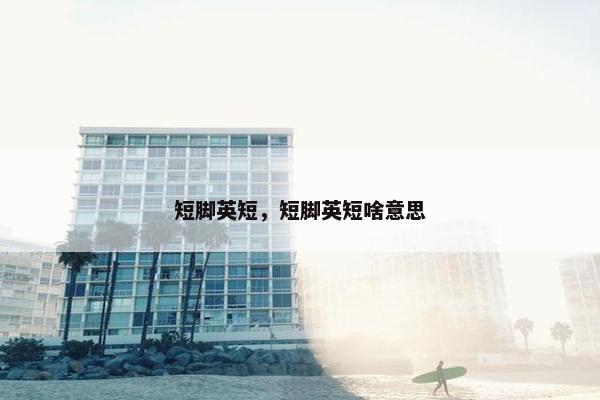 短脚英短，短脚英短啥意思