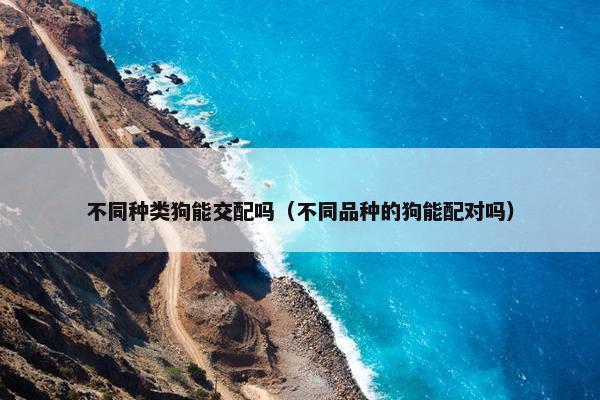 不同种类狗能交配吗（不同品种的狗能配对吗）