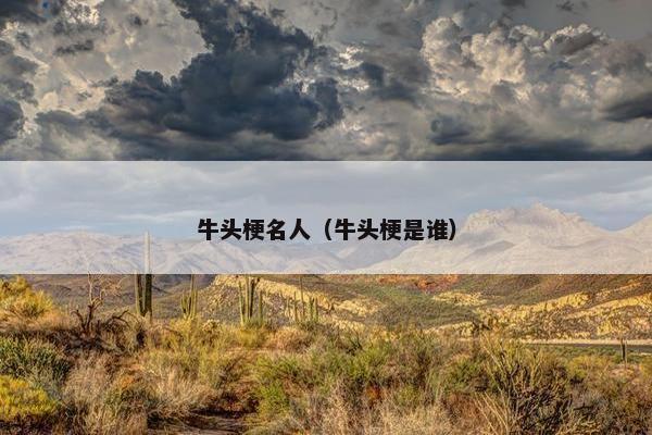 牛头梗名人（牛头梗是谁）