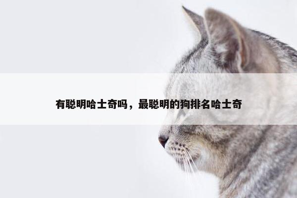 有聪明哈士奇吗，最聪明的狗排名哈士奇