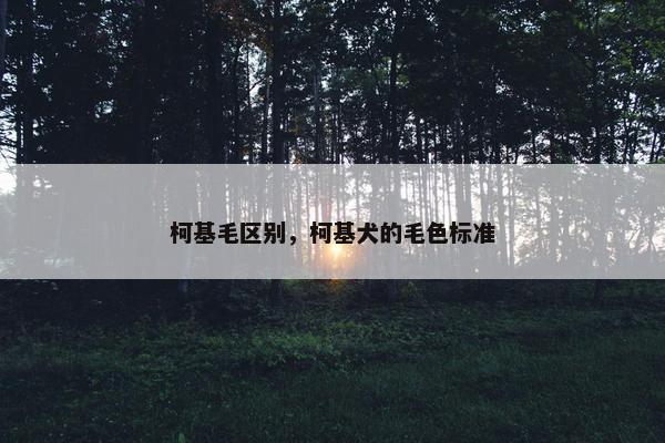 柯基毛区别，柯基犬的毛色标准
