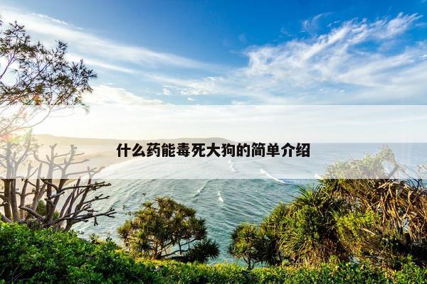 什么药能毒死大狗的简单介绍