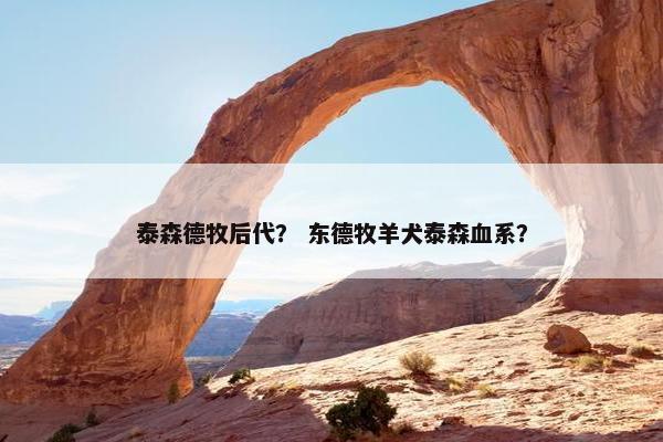 泰森德牧后代？ 东德牧羊犬泰森血系？