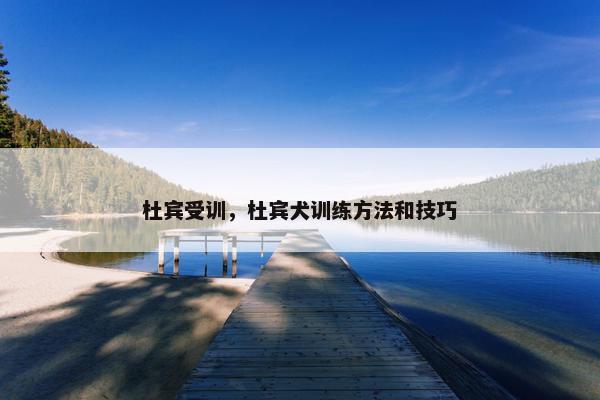 杜宾受训，杜宾犬训练方法和技巧