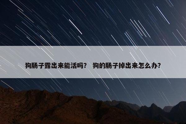狗肠子露出来能活吗？ 狗的肠子掉出来怎么办？