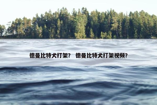 德曼比特犬打架？ 德曼比特犬打架视频？