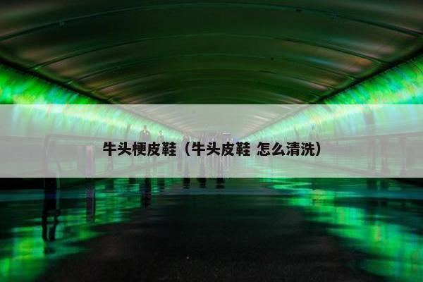 牛头梗皮鞋（牛头皮鞋 怎么清洗）