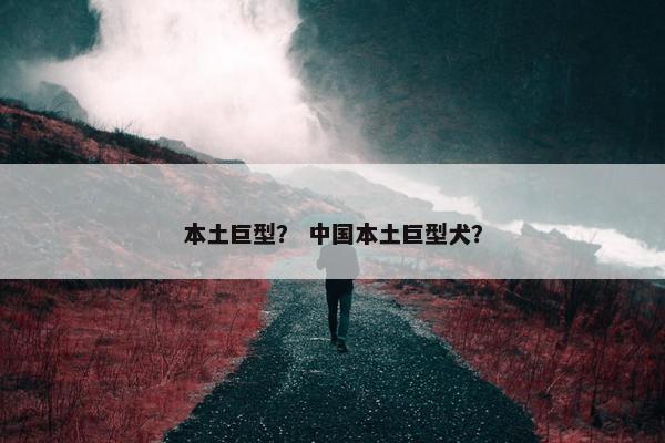 本土巨型？ 中国本土巨型犬？