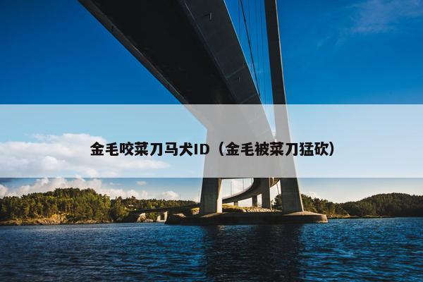 金毛咬菜刀马犬ID（金毛被菜刀猛砍）