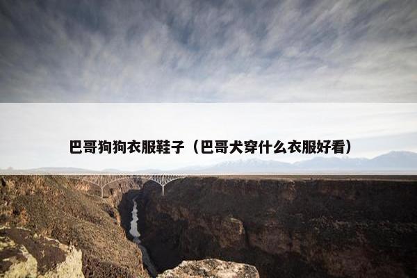 巴哥狗狗衣服鞋子（巴哥犬穿什么衣服好看）