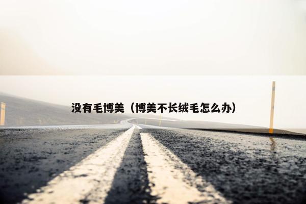 没有毛博美（博美不长绒毛怎么办）