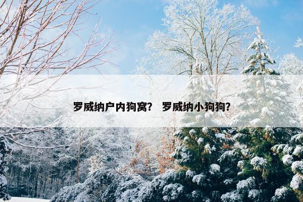 罗威纳户内狗窝？ 罗威纳小狗狗？