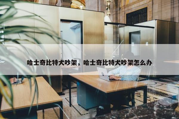 哈士奇比特犬吵架，哈士奇比特犬吵架怎么办