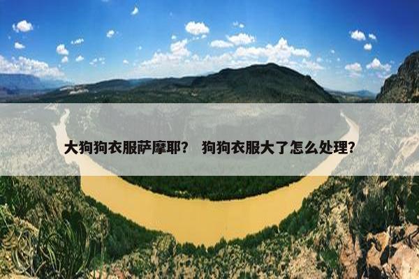 大狗狗衣服萨摩耶？ 狗狗衣服大了怎么处理？