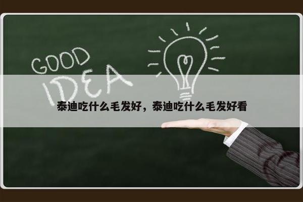 泰迪吃什么毛发好，泰迪吃什么毛发好看