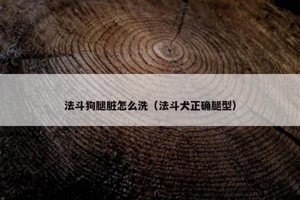 法斗狗腿脏怎么洗（法斗犬正确腿型）