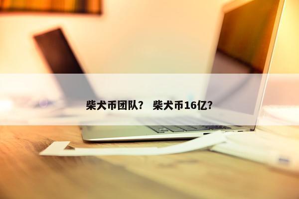 柴犬币团队？ 柴犬币16亿？
