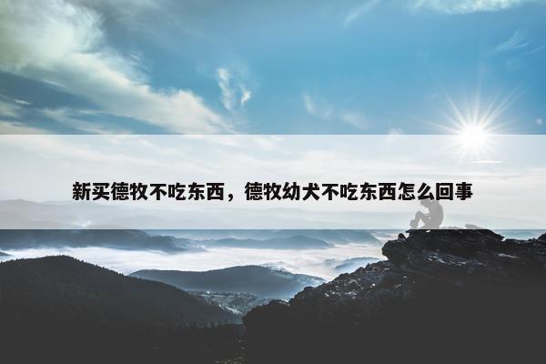 新买德牧不吃东西，德牧幼犬不吃东西怎么回事