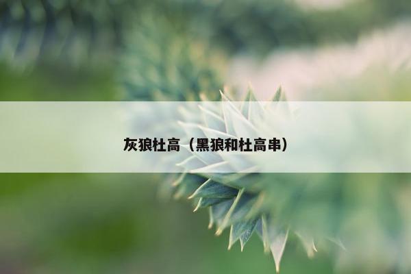 灰狼杜高（黑狼和杜高串）