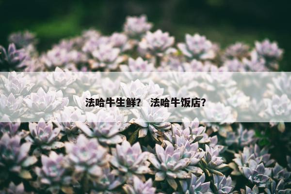 法哈牛生鲜？ 法哈牛饭店？