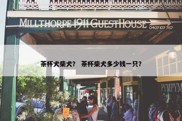 茶杯犬柴犬？ 茶杯柴犬多少钱一只？
