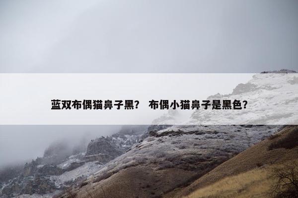 蓝双布偶猫鼻子黑？ 布偶小猫鼻子是黑色？