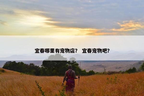 宜春哪里有宠物店？ 宜春宠物吧？