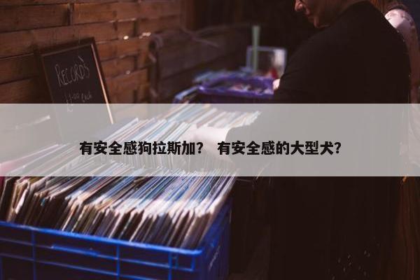 有安全感狗拉斯加？ 有安全感的大型犬？