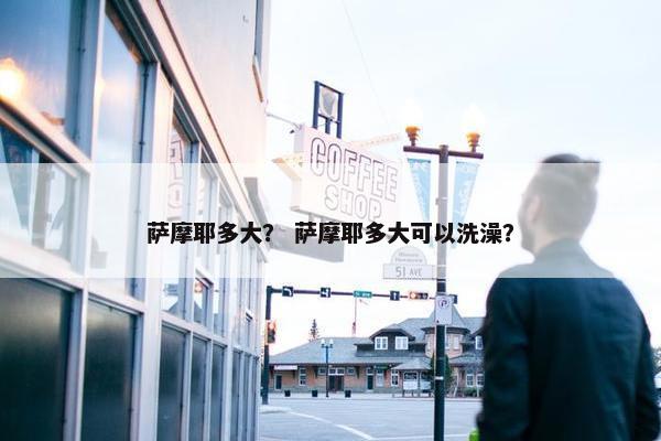 萨摩耶多大？ 萨摩耶多大可以洗澡？