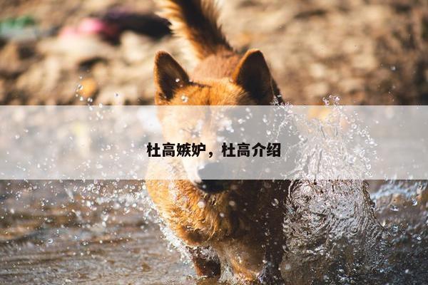 杜高嫉妒，杜高介绍