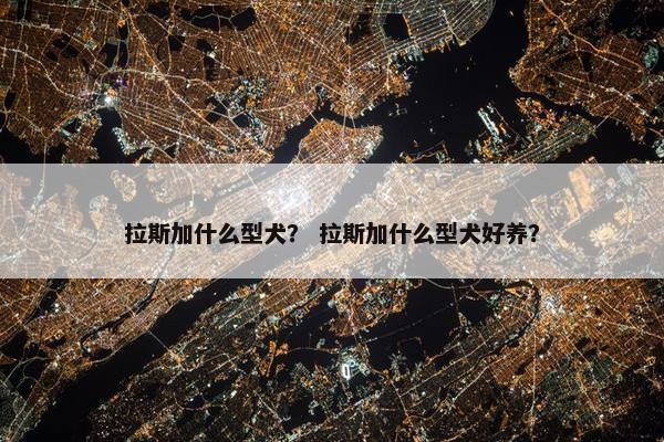 拉斯加什么型犬？ 拉斯加什么型犬好养？