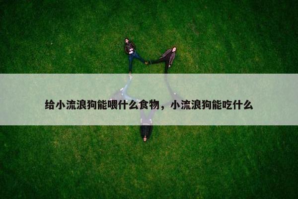 给小流浪狗能喂什么食物，小流浪狗能吃什么