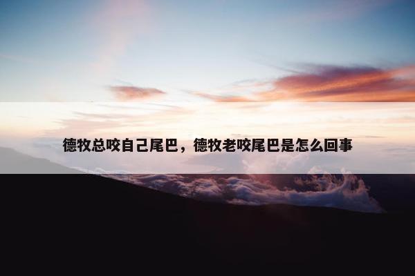 德牧总咬自己尾巴，德牧老咬尾巴是怎么回事