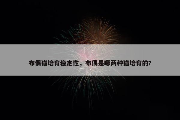 布偶猫培育稳定性，布偶是哪两种猫培育的?