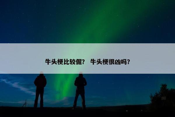 牛头梗比较倔？ 牛头梗很凶吗？