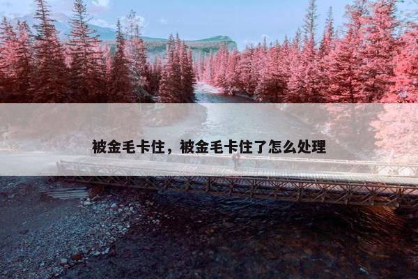 被金毛卡住，被金毛卡住了怎么处理