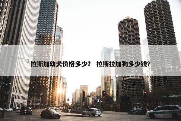拉斯加幼犬价格多少？ 拉斯拉加狗多少钱？