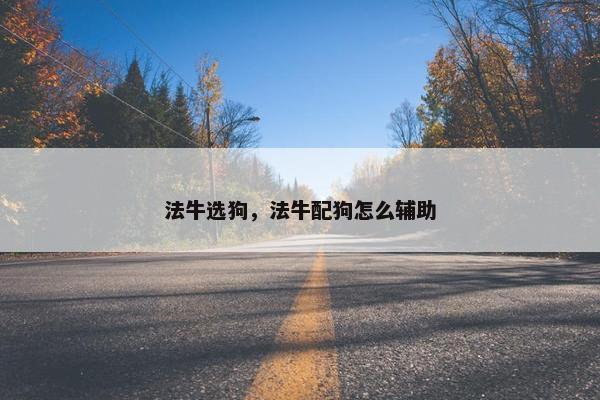 法牛选狗，法牛配狗怎么辅助