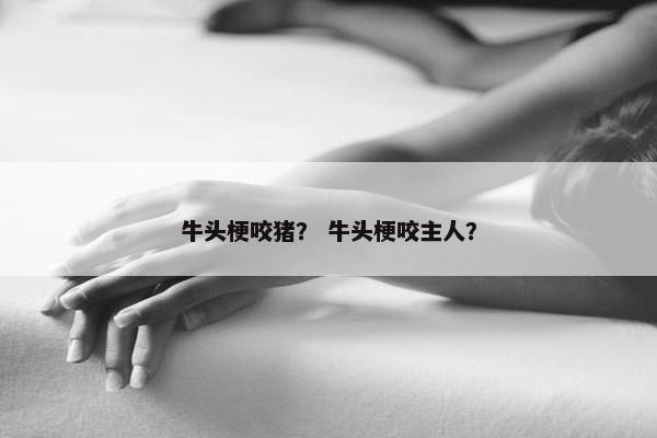 牛头梗咬猪？ 牛头梗咬主人？