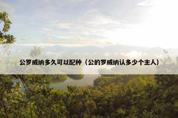 公罗威纳多久可以配种（公的罗威纳认多少个主人）