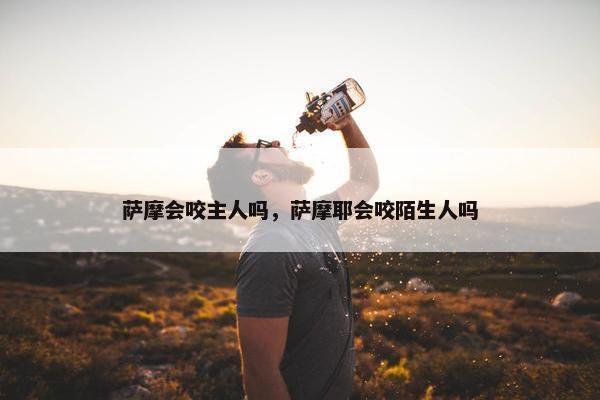 萨摩会咬主人吗，萨摩耶会咬陌生人吗