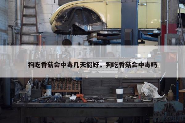 狗吃香菇会中毒几天能好，狗吃香菇会中毒吗