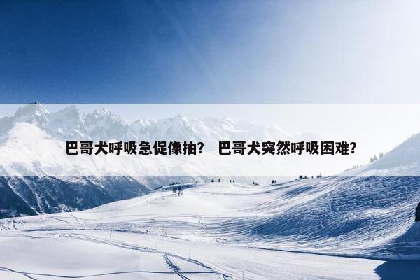 巴哥犬呼吸急促像抽？ 巴哥犬突然呼吸困难？