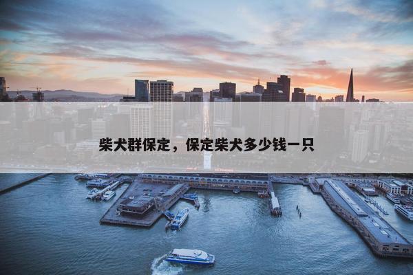 柴犬群保定，保定柴犬多少钱一只