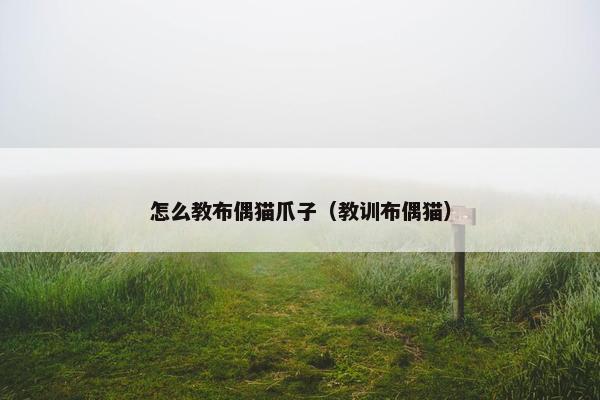 怎么教布偶猫爪子（教训布偶猫）