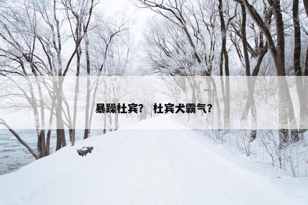 暴躁杜宾？ 杜宾犬霸气？