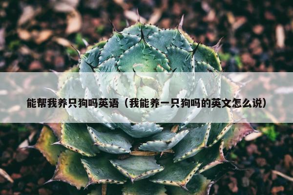 能帮我养只狗吗英语（我能养一只狗吗的英文怎么说）