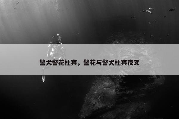 警犬警花杜宾，警花与警犬杜宾夜叉